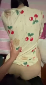 女友系列辣文全集